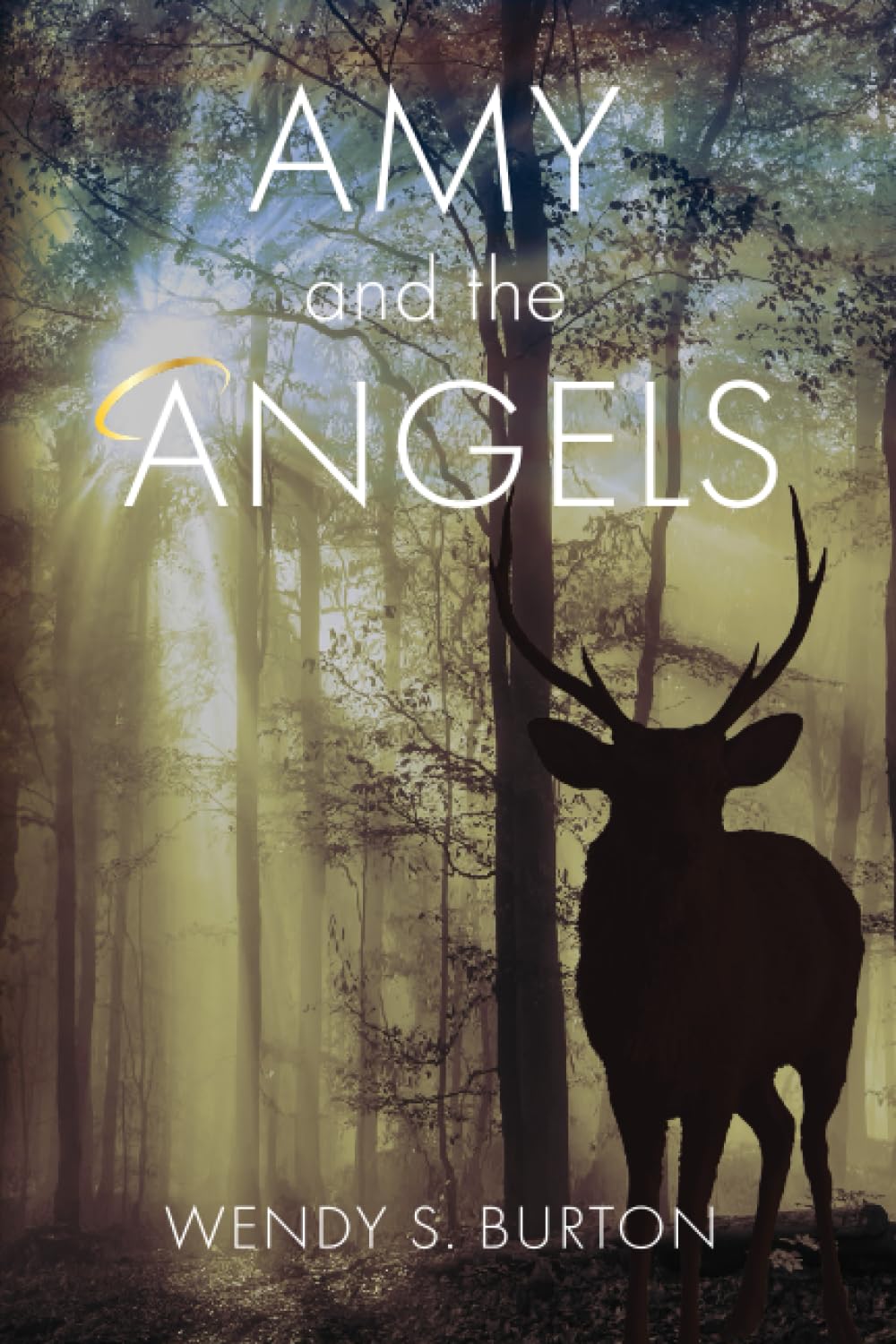 Amy and the Angels cover